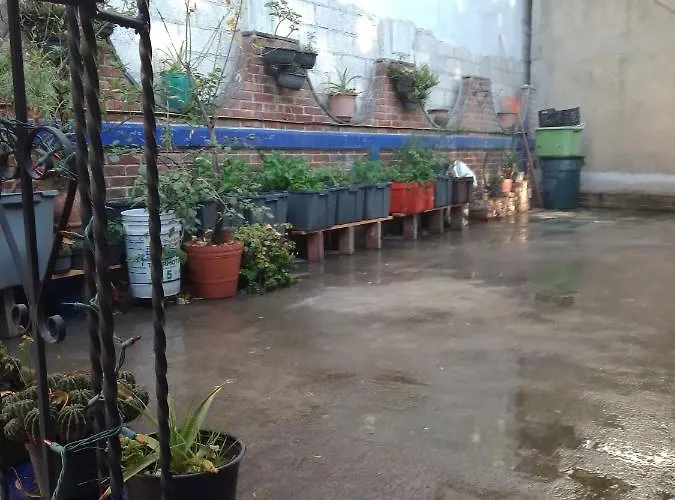 Apartamento Coyoacan Departamento Tipo Colonial *