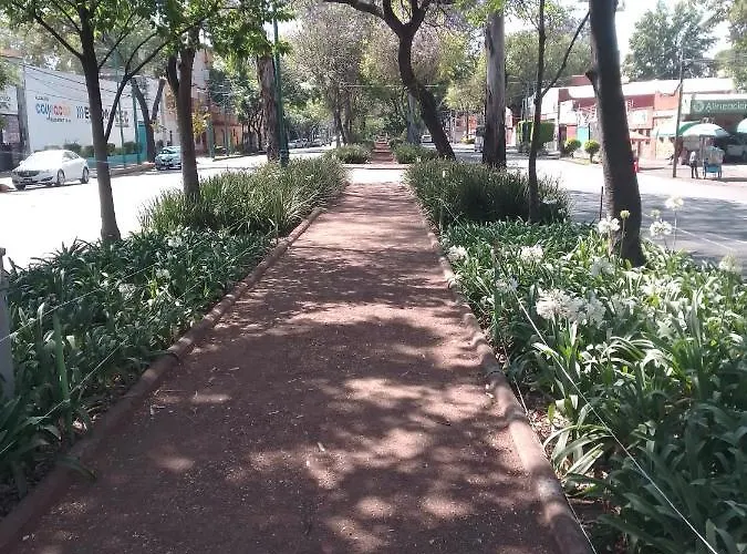 Apartamento Coyoacan Departamento Tipo Colonial México DF